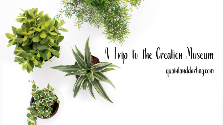 A Trip to the Creation&nbsp;Museum